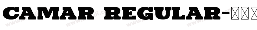 Camar Regular字体转换